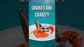Grunts Are Crabs? - Halo Lore