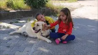 Candy sta per andare dal veterinario
