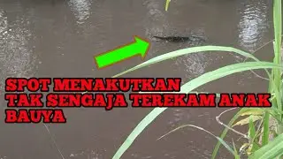 MANCING DITEMPAT SERAM, BERTEMU ANAK BUAYA
