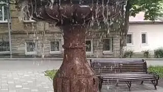Цвеник