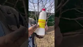 Доброе утречко ❤️