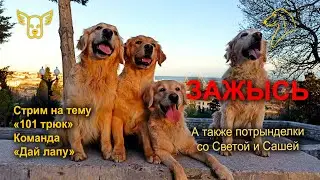 ЗАЖЫСЬ. 05.04.2024
