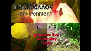 promo περιβάλλον - Environment