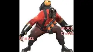 POV: You made a MVM server for yourself