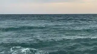 03.11.2023. Погода в Сочи в ноябре. Смотри на Чёрное море каждый день.