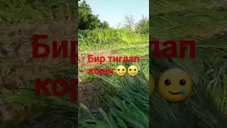 сизларга бита гап🤔🤔