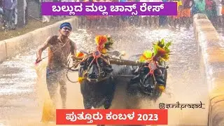 Balluda Malla Chance Race | Putturu Kambala 2023
