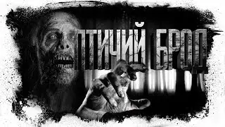 История На Ночь  -  Птичий брод (Перезалив)