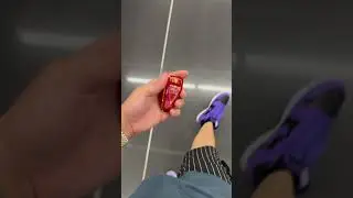 !! Enseñándole a estos cachorro cómo se anda 🥶🥶🥶💨