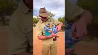 Enjoyable moments in the Territory 🤙🏽🐪 - Travel Vlog 🌄☀️