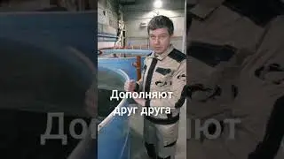 Зачем мне УЗВ? У меня есть пруд!!!  Разведение рыбы.