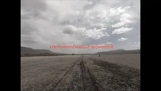 Непокорěнный Воробей. 4K видео. Эндуро туризм 🏕️