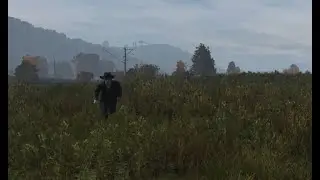i'm gonna steal your stuff [Dayz]