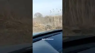 Ҳаммаси жойида, ўзи ўша тарафда иши боракан 😂👇