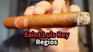 Saint Luis Rey Regios - Cigar Review