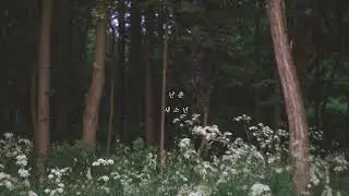 𝘱𝘭𝘢𝘺𝘭𝘪𝘴𝘵 몽환 한스푼, 감성 한스푼, 사운드 듬뿍 담은 국내 밴드 노래 모음 Band playlist