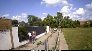 Bond Hill Living Wall Timelapse