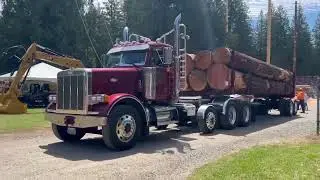 1999 Peterbilt log truck at the 2024 61st Deming logging show.