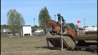 CCE amateur 4 Oxer de Bellevue Elodie & Clif 28/08/22