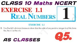Class - 10th, Ex - 1.1, Q 5 (Real Numbers) NCERT CBSE AS CLASSES