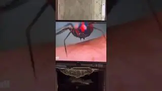New Funny spider man magic failes 🤣 #shorts #viral