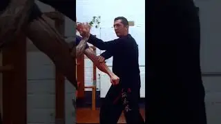 FAST HAND WING CHUN SKILL Stephane SERROR
