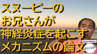 【コロナ再放送スペシャル】スヌーピーのお兄さんが神経炎症を起こすメカニズムの論文
