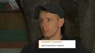 «Миллион друзей» / Дрессировщик Сергей Гулевич (2019)