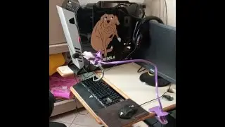 Apenas Microfones - Rainbow Six: Siege