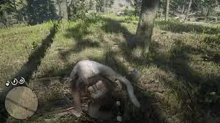 Masterhunter