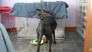 Он пошел спать