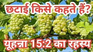 What is Sorting? | छटाई किसे कहते हैं? | Brother Raj Massey |