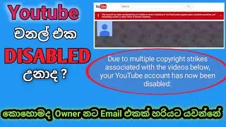 How to Email to Copyright Owner and remove Copyright strike || Sinhala☑️🇱🇰 phone podda 