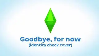 Goodbye, for now... (Identity check simsi45 cover)