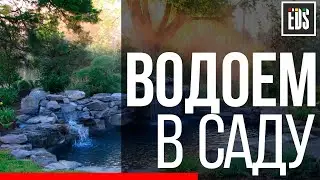 Водоем в саду