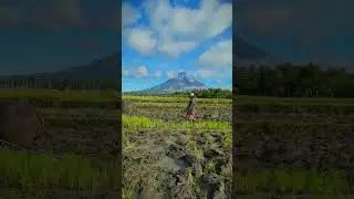 Bukid #travel #reels #nature #youtubeshorts #mayon #shorts #shortsvideo #volcano #travelphotography