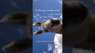 с Добрым Утром понедельника!