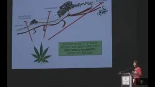 Fighting Breast Cancer w/Cannabis: Anti-Tumor Effects of Cannabinoid Therapies/ Dr. Cristina Sanchez