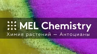 Эксперимент «Антоцианы» из набора «Химия растений»