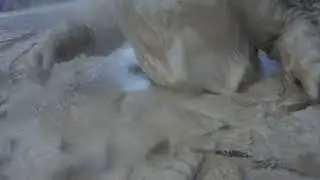Breaking the ice 3