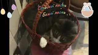 З Великоднем!
