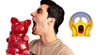 THE MOST BIGGEST GUMMY BEAR IN THE WORLD !!!