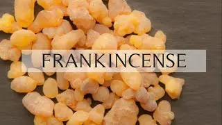 Surprising Benefits of Frankincense 