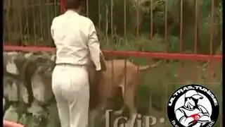 شاهدو ردة فعل أسد عندما إلتقى مع مربيته