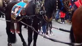 Mein Film PENISCOLA   Vorbereitungen für das Fest  San Antonio