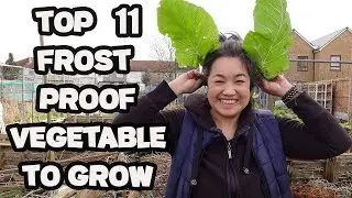 Episode 15….Are you growing these ready for the next winter? Growing frost tolerant vegetables