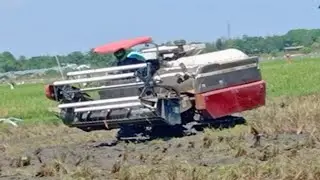 Mesin Panen Padi Paling Tercepat, YANMAR YH 850 #430