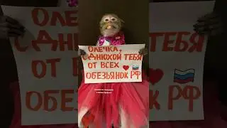 Поздравление. Ссылка в шапке профиля