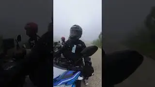Foggy Rides
