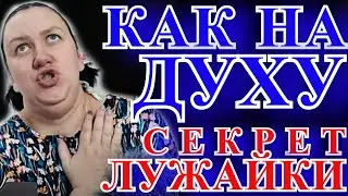 Евангелие от Лели-побирушки: притча о лужайке. Секрет раскрыт!